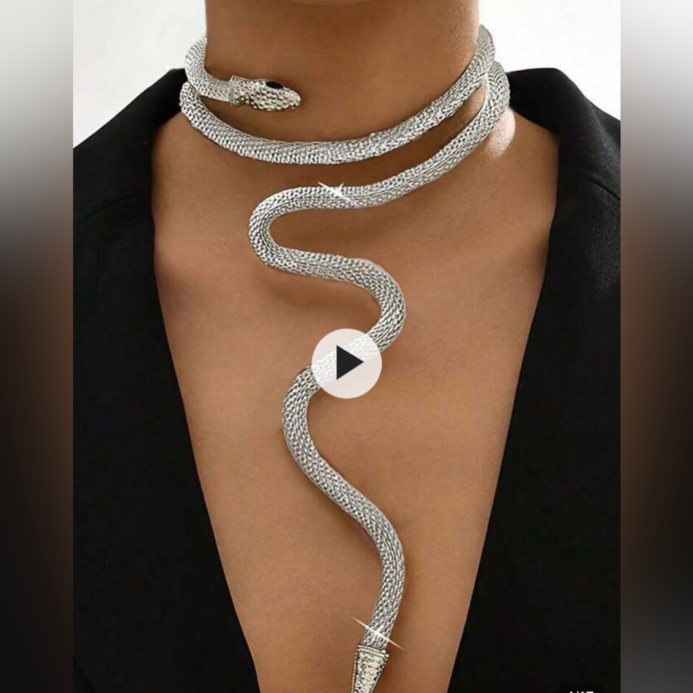 NWT Silver Serpentine Necklace
